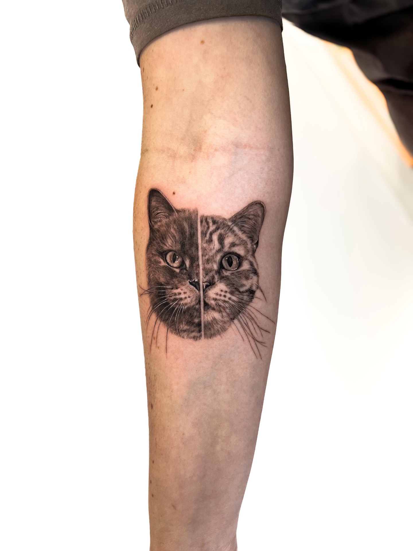 Realism-Tattoo von Hitta, Atelier 7 Freudenberg